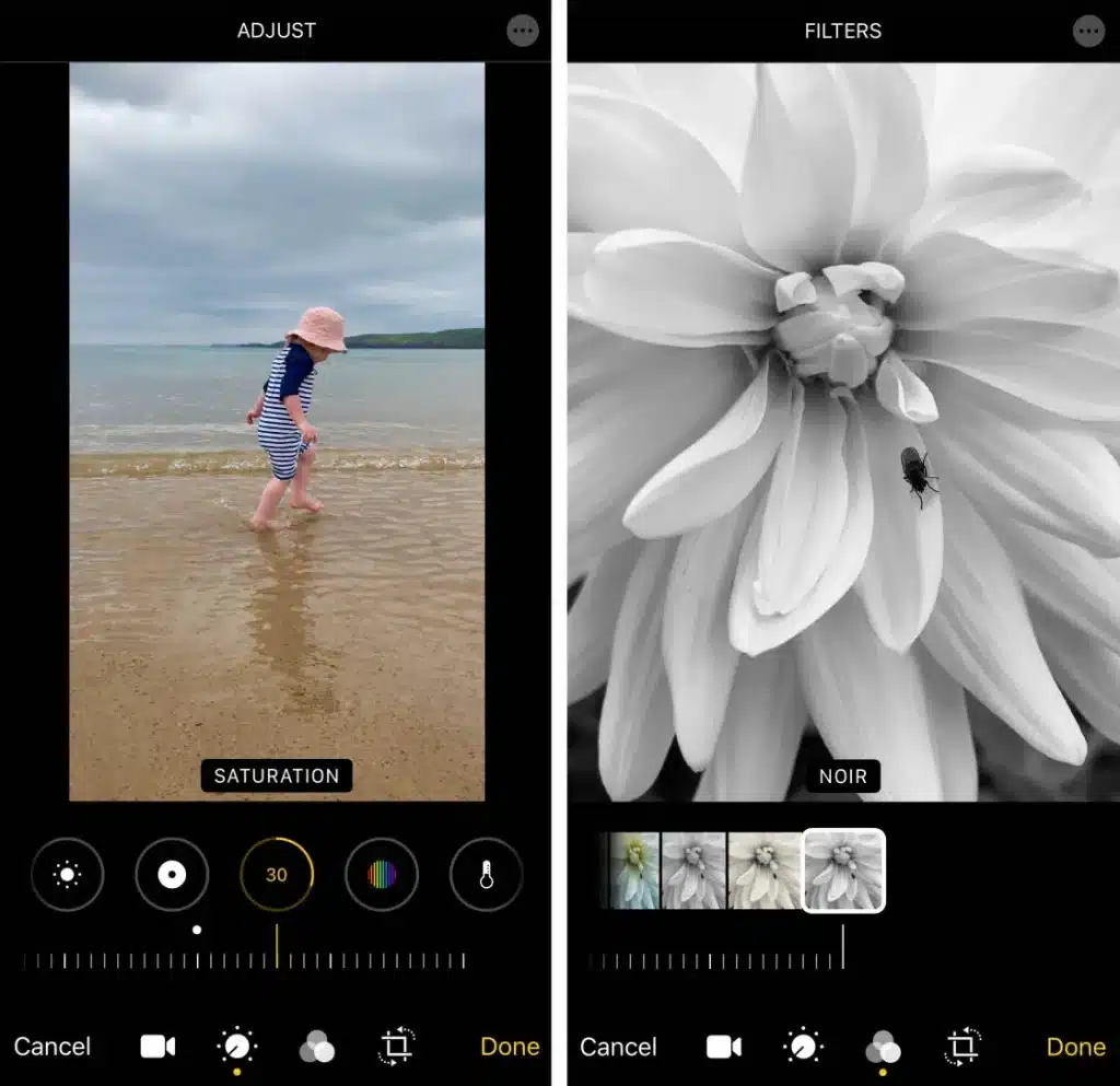 Mastering Mobile Photography