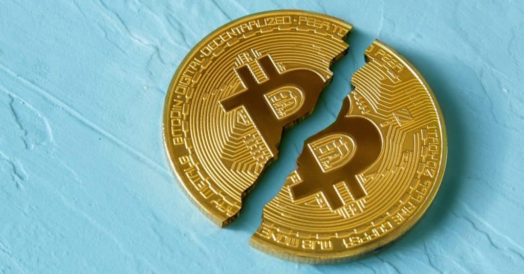 What's the Hype Around the Bitcoin Rally? 2024 Halving & Projections